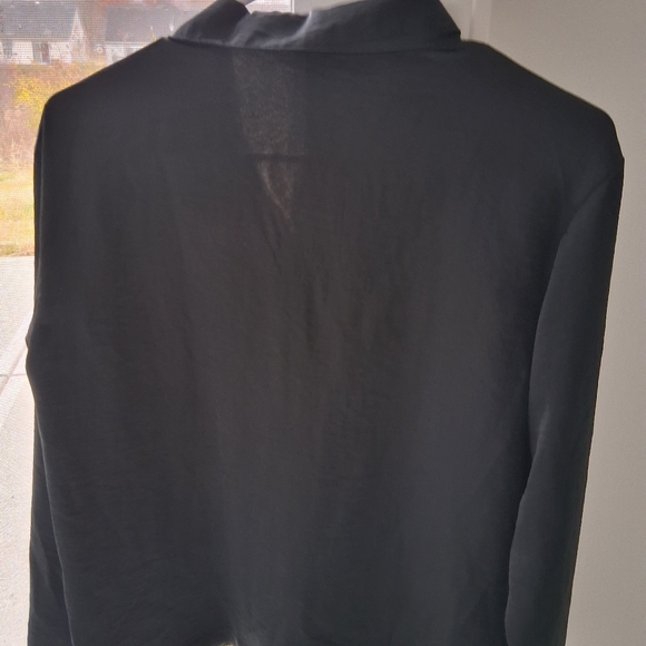 Black Sheer Button-Up Blouse - Picture 5 of 5